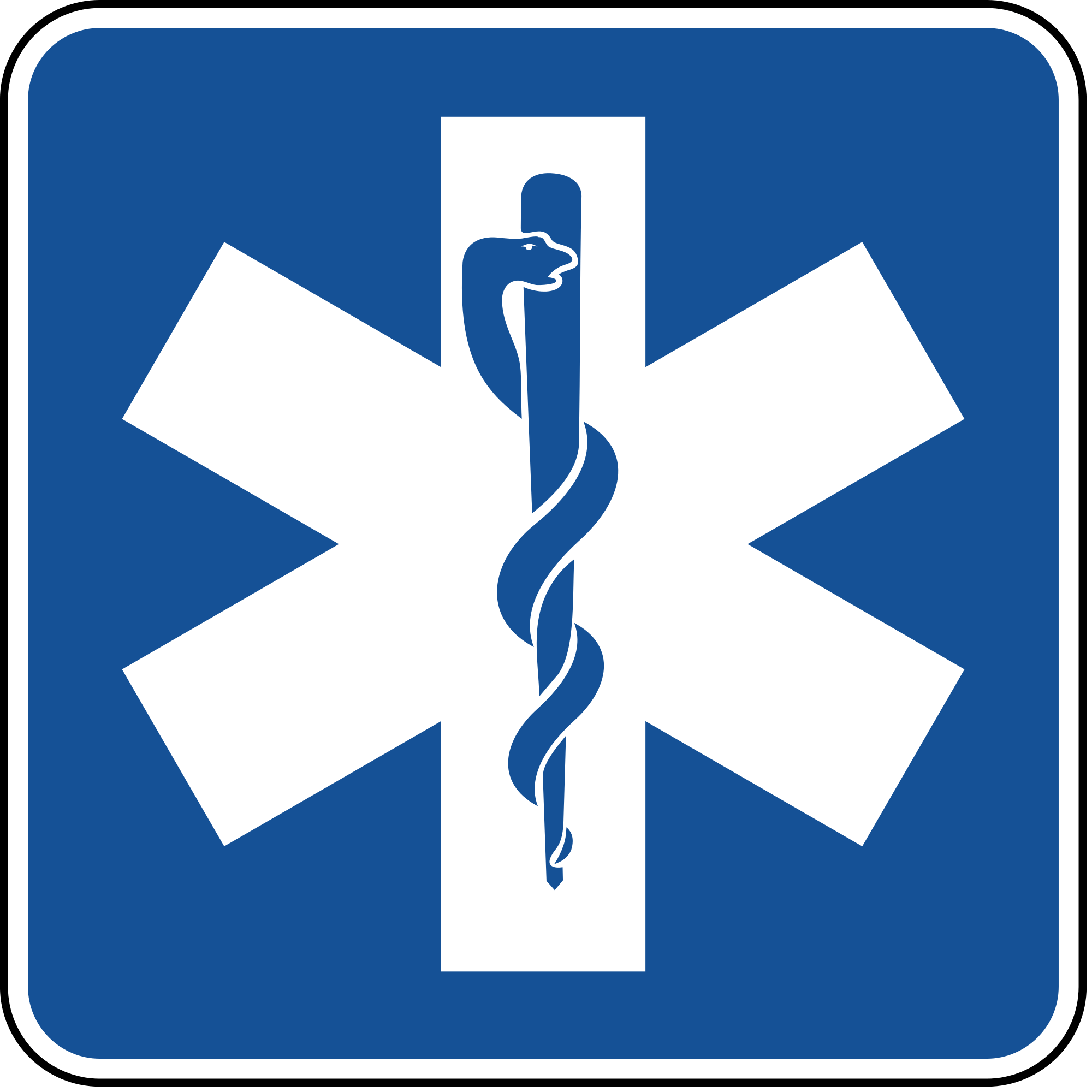 D9-13 Emergency Medical Services Guide Sign